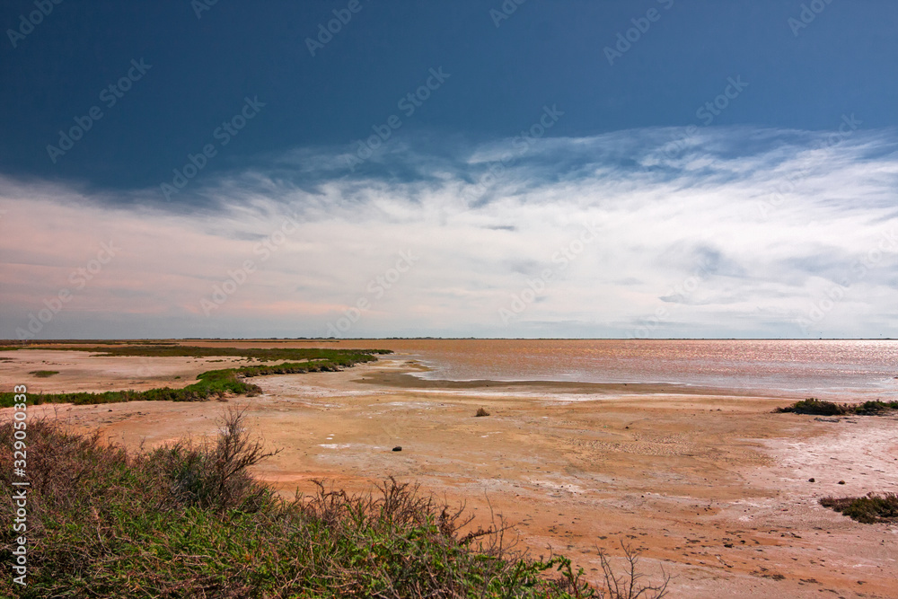 Panoramic view of the Camargue lagoon, France.