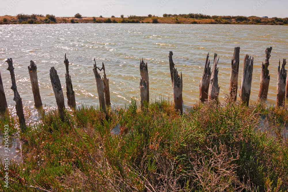 Panoramic view of the Camargue lagoon, France.