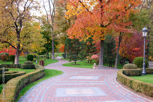 Fototapeta Naklejka Na Ścianę i Meble -  Cobblestone pavement in autumnal city park. Empty pathway.