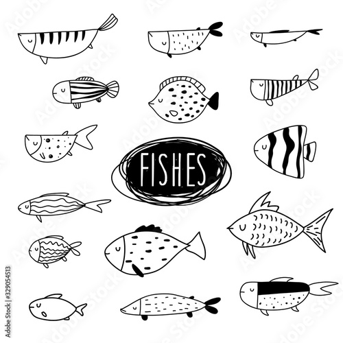 Vector black and white hand-drawn contour children`s set with different fish in the Scandinavian style on a white background. Children's coloring book with fish. Undersea world. Sea inhabitants.