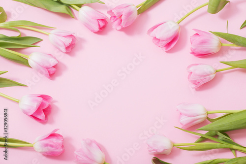Fototapeta Naklejka Na Ścianę i Meble -  beautiful pink tulips on pink background