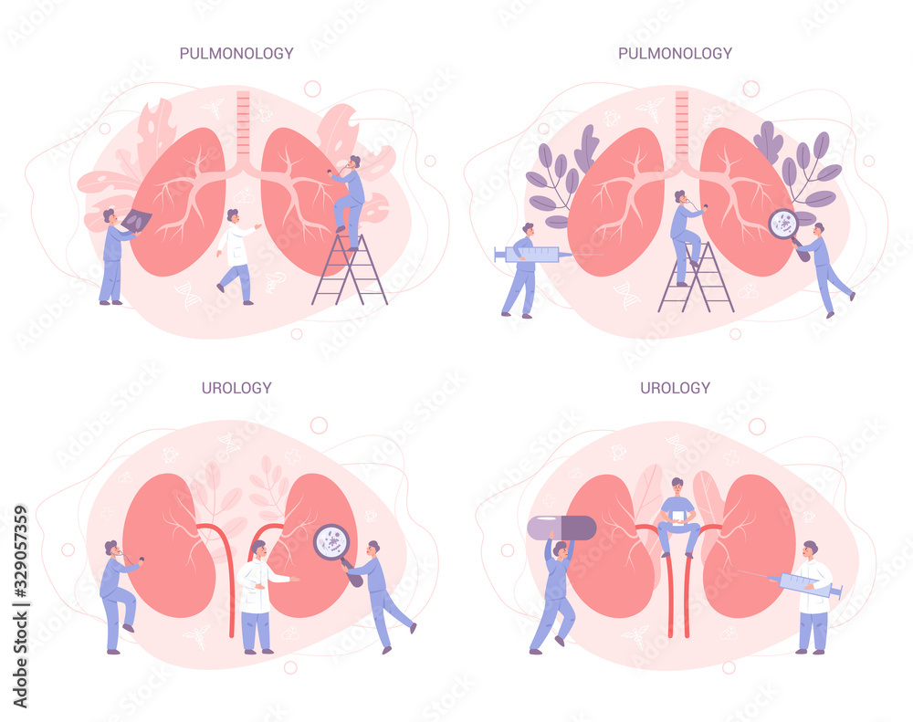 Doctor make kidney examination. Idea of medical treatment. Doctor make kidney examination. Idea of medical treatment.