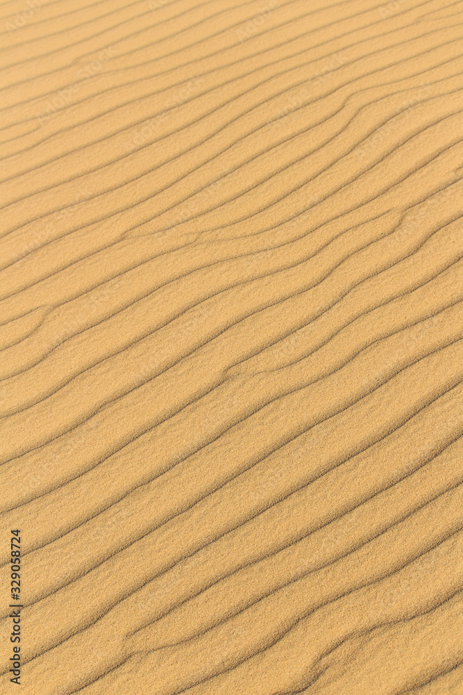 Abstract yellow sand desert background with copy space. Europe desert in Ukraine. Abstract yellow sand desert background with copy space. Europe desert in Ukraine.