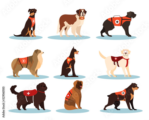 Set of dogs rescuers. Collection of the cadaver dogs of various breed