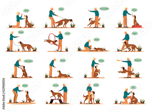 Woman training her pet dog set. Collection of happy puppy having command