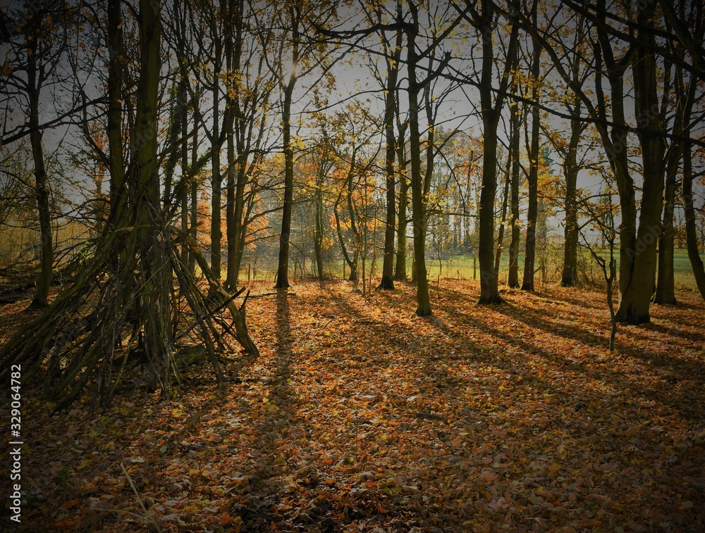 Autumn Autumn