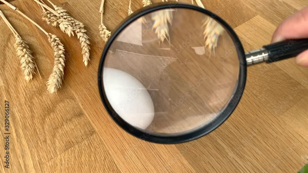 white eggs spin on the table with ears of grain, easter concept white eggs spin on the table with ears of grain, easter concept