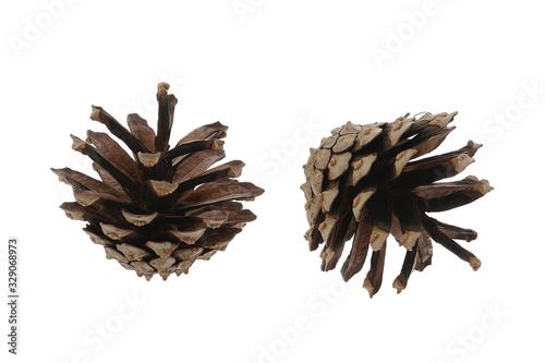 two pine cones on a white background