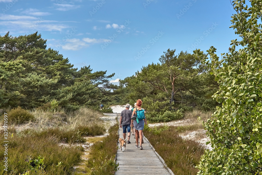 Tourists walking on a wooden boardwalk through sand dune in Dueodde, Bornholm island, Denmark,