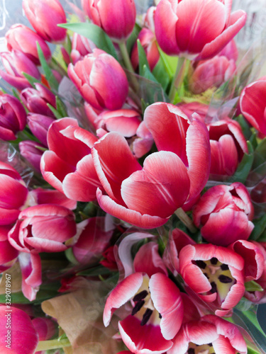 bouquet of pink tulips