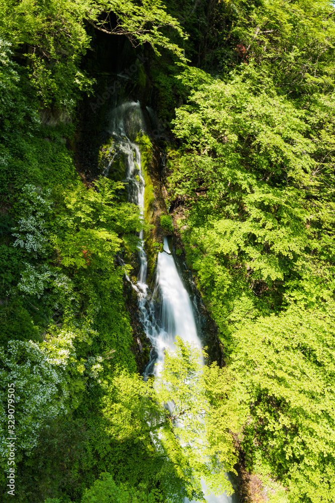 Obraz premium 日光