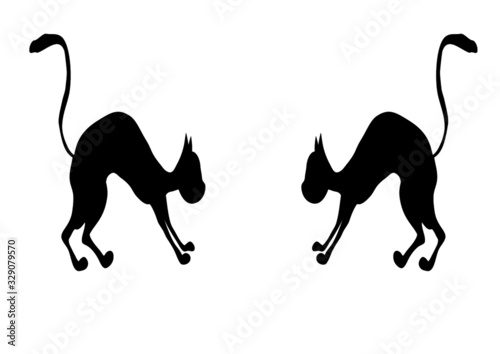 Black cat pet on a white background. Vector image. Background image. Place for text. Template. Advertising. Poster. Fight of cats. Homeless cat. Street cats.