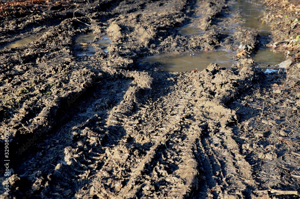 gray marsh and puddles on dirt road. tire tracks in sand Stock Photo