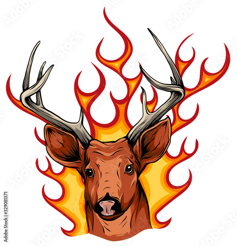 Deer head isolated on white background vector