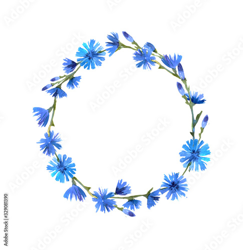 Watercolor wreath with blue chicory flowers. Spring watercolor illustration, inscription or photo template