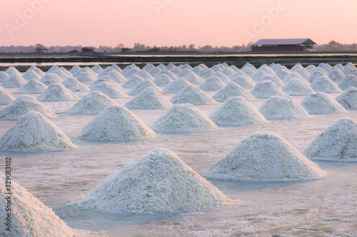 Panorama of beautiful landscape salt farm with sunset at Samutsakhon Thailand photo