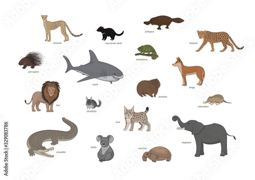 Cheetah, tasmanian devil, platypus, leopard, porcupine, shark, chameleon, dingo, lion, chinchilla, wombat, solenodon, lynx, crocodile, koala, tortoise