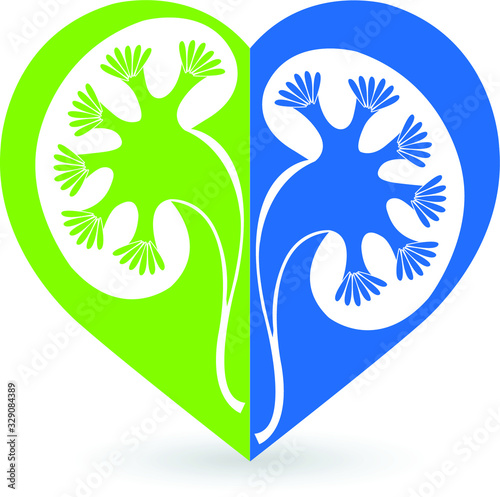 love kidney logo
