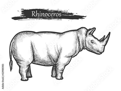 Rhinoceros sketch, African jungle, zoo wild animal