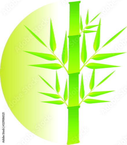 bamboo logo