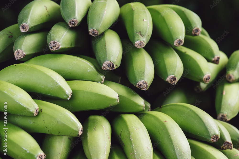 close up of green bananas of Madeira island, Portugal