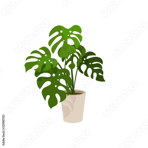 Vector illustration of a flowerpot with monstera in cartoon style. Tropic flowers for home or interior Isolated on a white background.