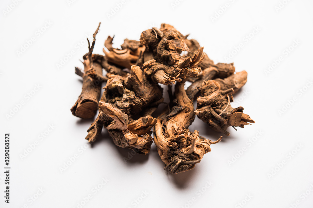 Obraz premium Ayurvedic herb chitrak or Plumbago zeylanica roots, isolated over white background