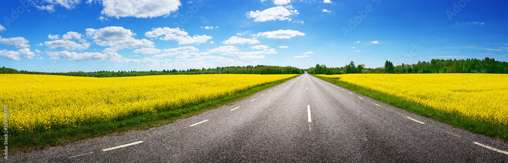 Road panorama on sunny summer day in countryside - obrazy, fototapety, plakaty 