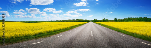 Road panorama on sunny summer day in countryside