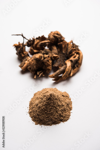 Ayurvedic Chitrak or Sheetraj roots also known as Plumbago zeylanica photo