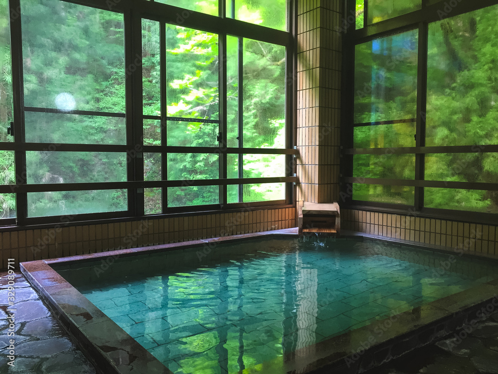 Obraz premium 蛇の湯