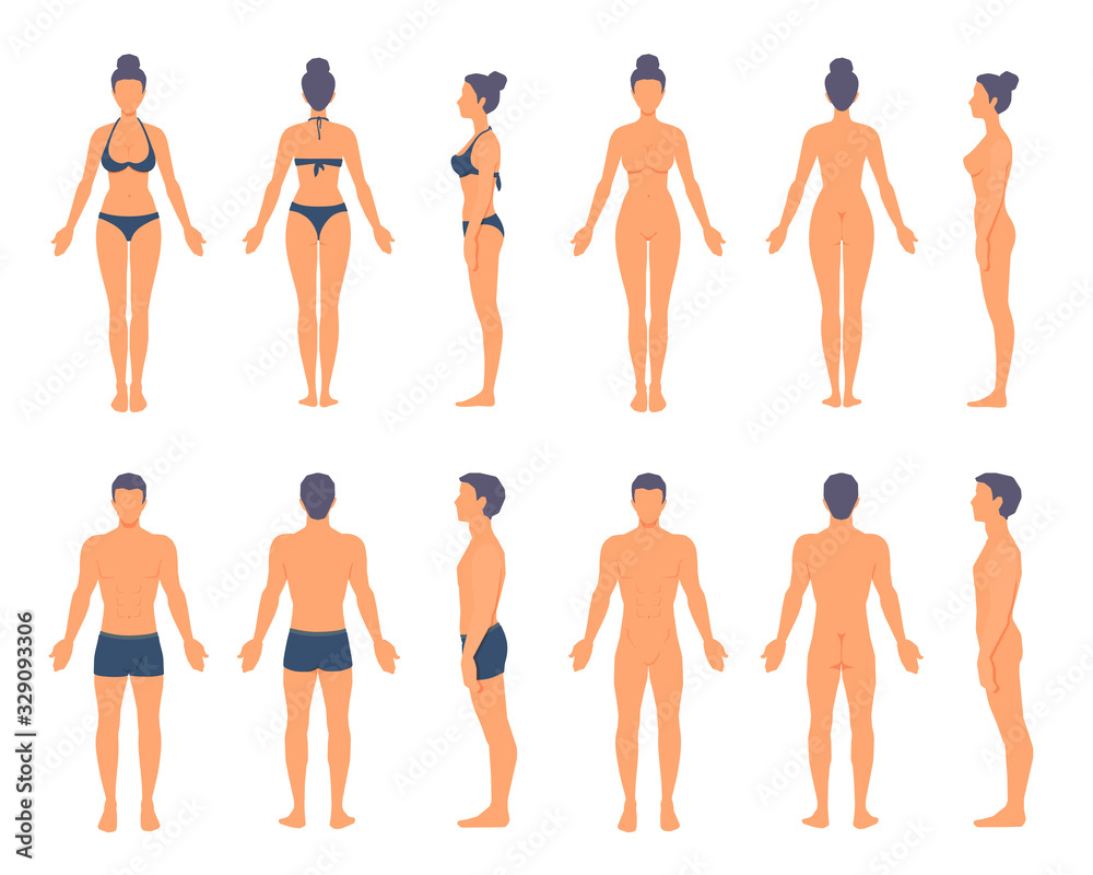 People anatomy. Athletic man and woman standing in full length with no face. Front, side, back view. Vector cartoon simple flat style illustration isolated on white background. People anatomy. Athletic man and woman standing in full length with no face. Front, side, back view. Vector cartoon simple flat style illustration isolated on white background.