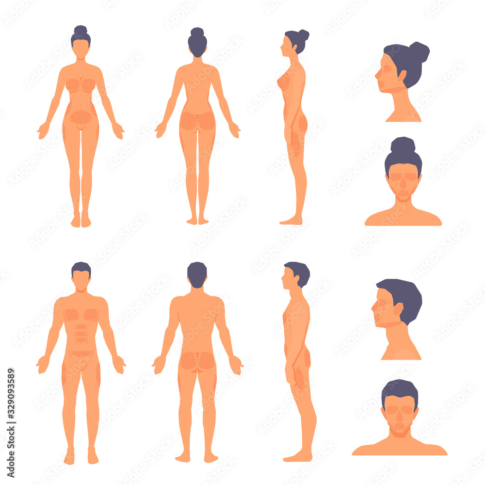 Human body plastic surgery zones, areas. Athletic man and woman standing in full length naked. People in the front, side, back view. Anatomy correction. Vector cartoon flat illustration set.