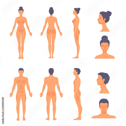 Human body plastic surgery zones, areas. Athletic man and woman standing in full length naked. People in the front, side, back view. Anatomy correction. Vector cartoon flat illustration set.