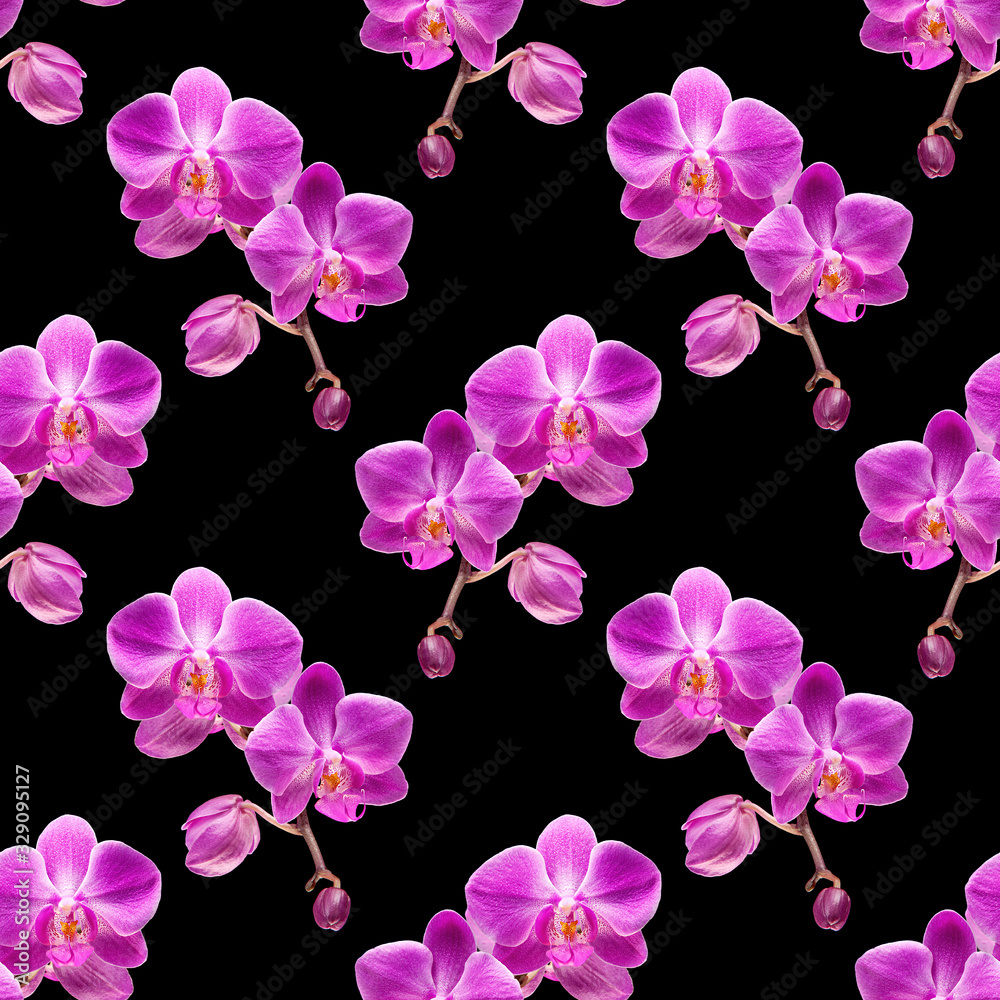 Orchid seamless pattern Orchid seamless pattern