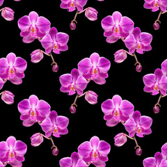 Wandcirkels Orchidee patronen Naadloos orchideeën patroon in pastel  © misu