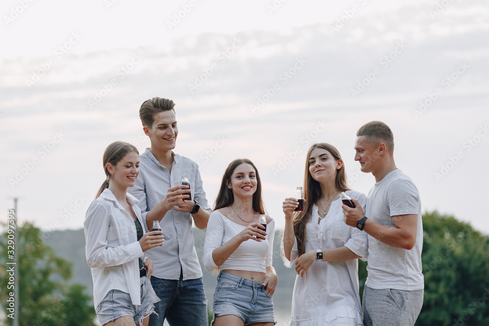 picnic friends with pizza and drinks, sunny day, sunset, company, fun, couples and mom with baby picnic friends with pizza and drinks, sunny day, sunset, company, fun, couples and mom with baby