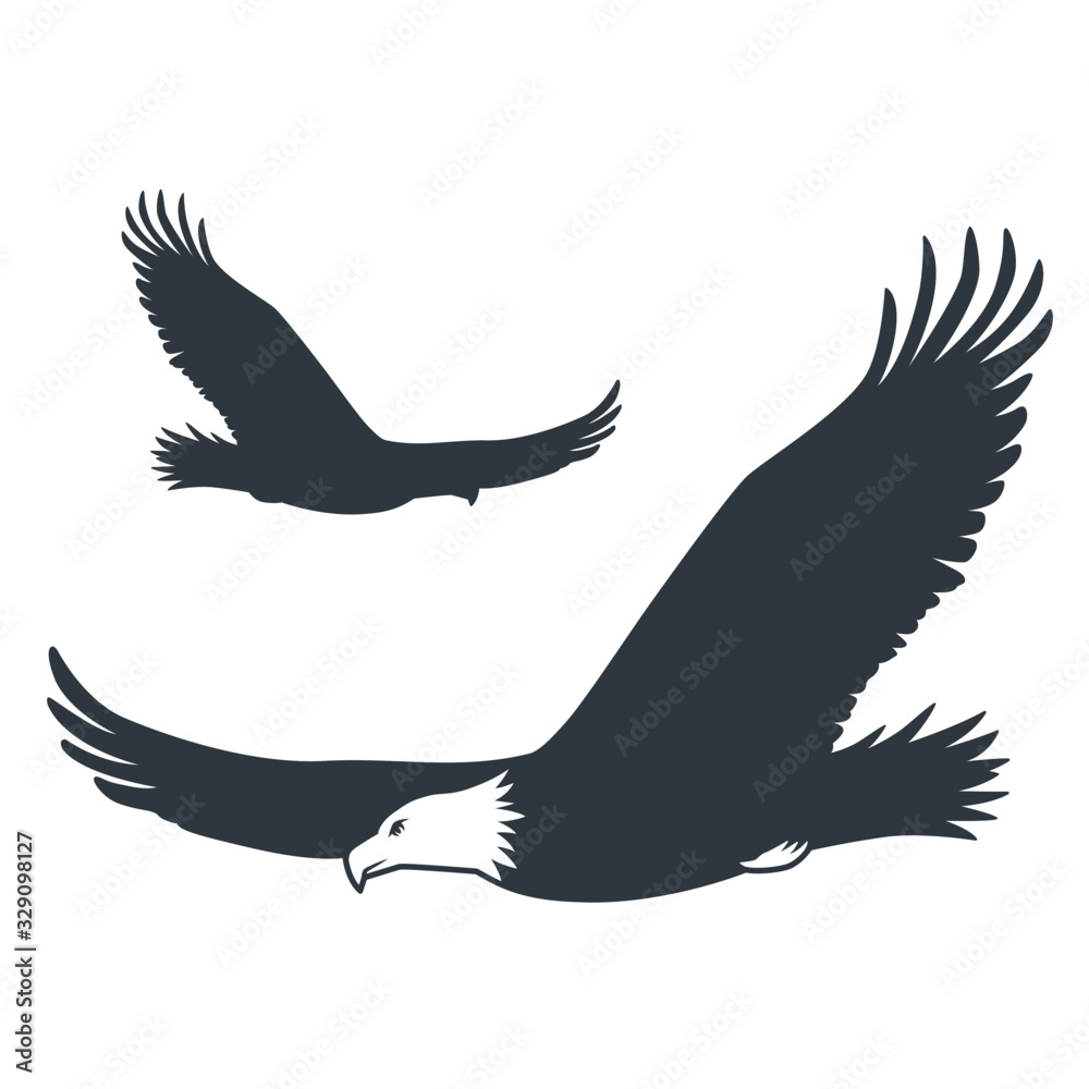 Silhouette flying eagle element wild nature animal
