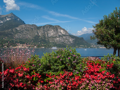 view of Lake Como, mountains and blue sky from the seafront of the Bellagio, flowering bushes in the foreground, Bellagio, Italy