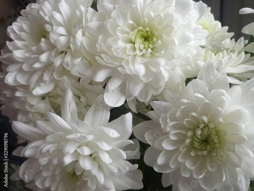bouquet of white flowers