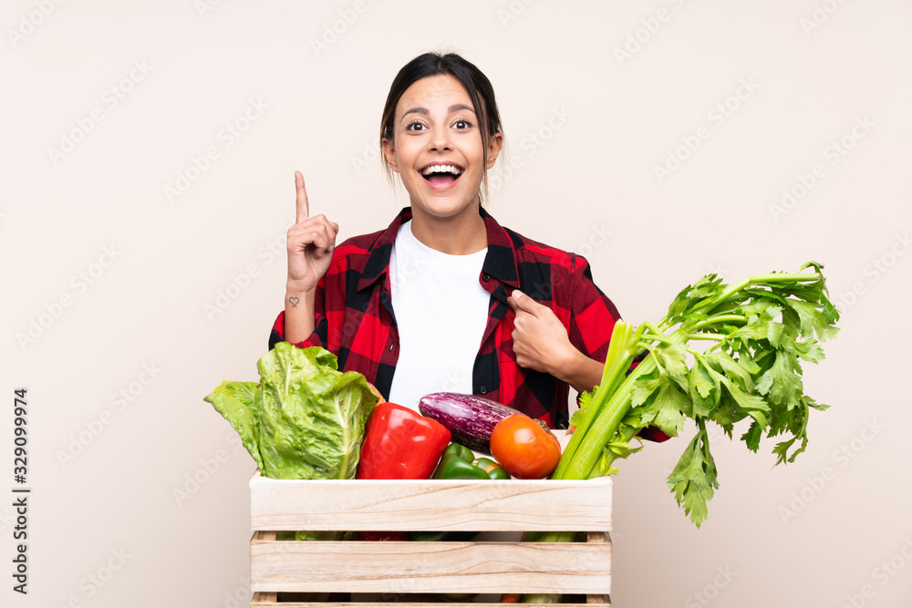 Farmer Woman holding fresh vegetables in a wooden basket with surprise facial expression Farmer Woman holding fresh vegetables in a wooden basket with surprise facial expression