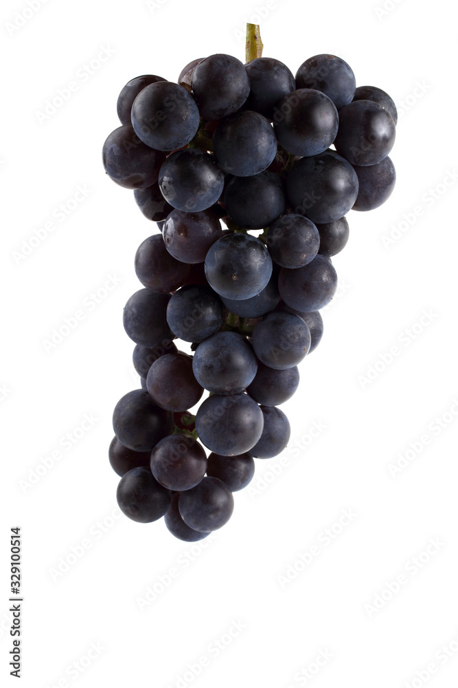 Black wine grape