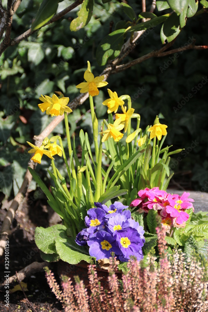 Blumen schmücken ein Grab im Frühling auf dem Friedhof Blumen schmücken ein Grab im Frühling auf dem Friedhof