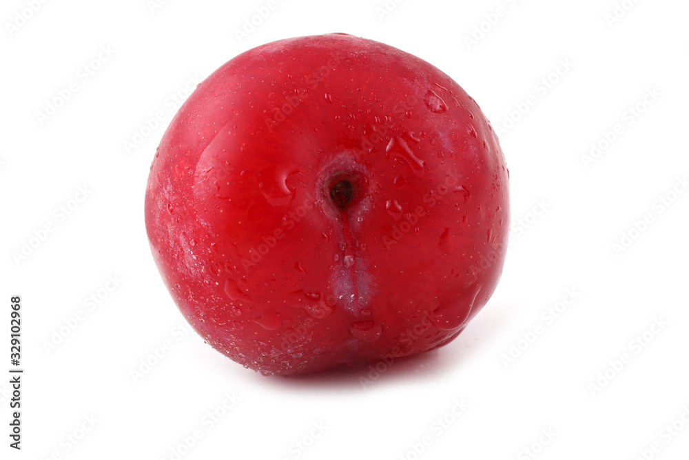 Plum Plum