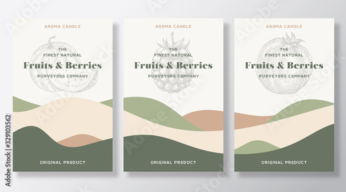 Aroma candle vector labels template set. Fruits and berries scent from local purveyors advert design. Sketch background layout with abstract waves decor. Natural smell product package text space