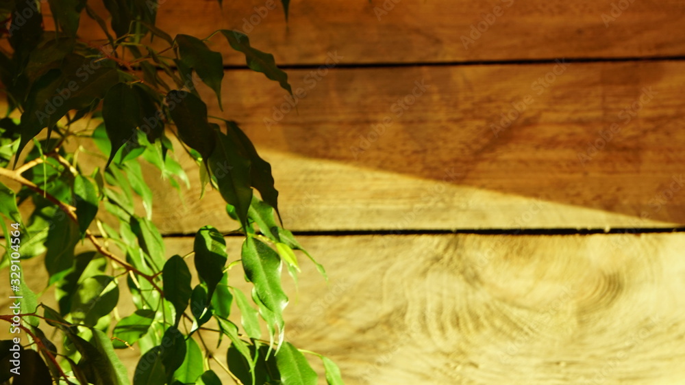 Obraz premium drewno