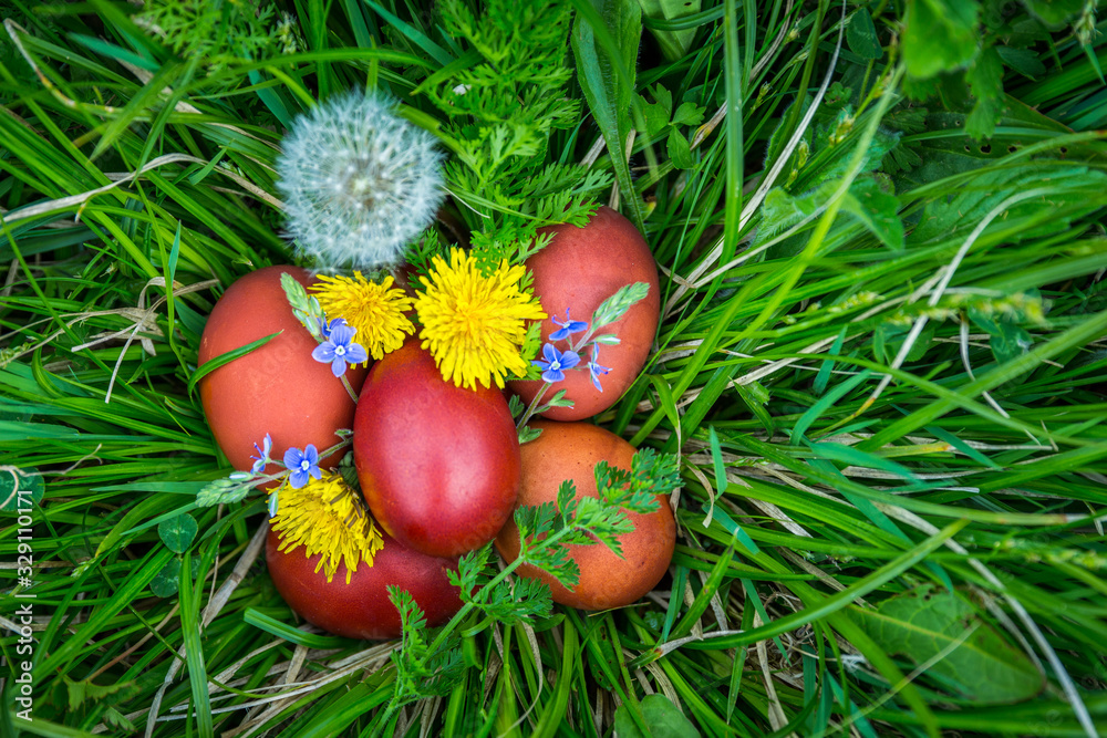 Red easter eggs on the grass with flowers and blowballs, naturally colored easter eggs with onion husks. Happy Easter, Christian religious holiday. Red easter eggs on the grass with flowers and blowballs, naturally colored easter eggs with onion husks. Happy Easter, Christian religious holiday.