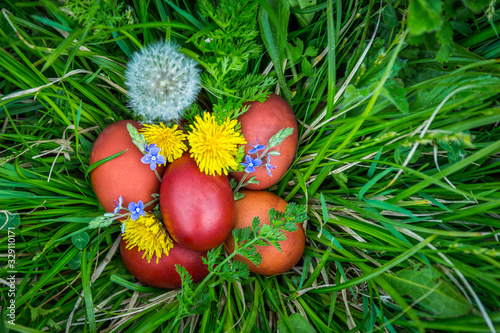 Red easter eggs on the grass with flowers and blowballs, naturally colored easter eggs with onion husks. Happy Easter, Christian religious holiday.