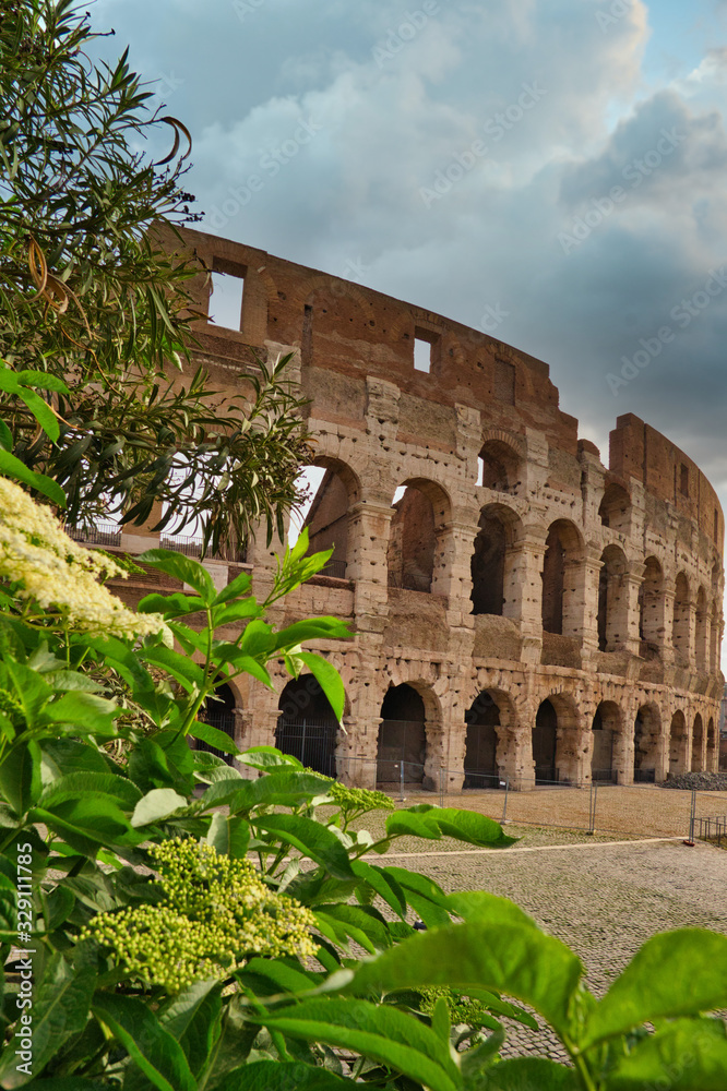 Colosseum. Rome amphitheatre and Italy landmark. Travel and tourism