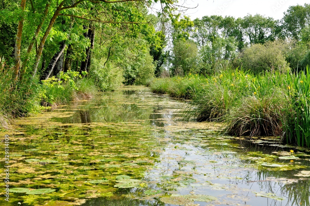 Beautiful landscape in the nature Beautiful landscape in the nature